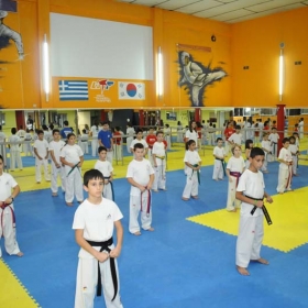 Aithousa 1 - Tae Kwon Do - Kenpo - Gymnastiki gia gunaikes - 29