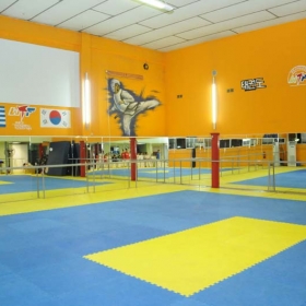 Aithousa 1 - Tae Kwon Do - Kenpo - Gymnastiki gia gunaikes - 38