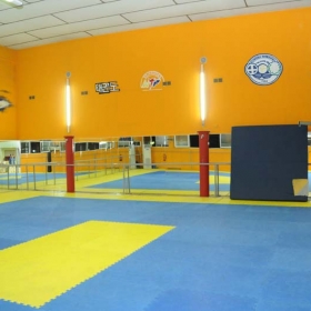 Aithousa 1 - Tae Kwon Do - Kenpo - Gymnastiki gia gunaikes - 39