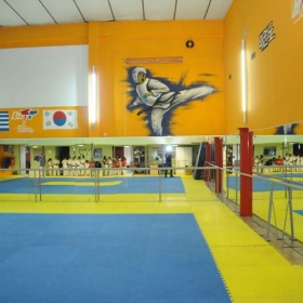 Aithousa 1 - Tae Kwon Do - Kenpo - Gymnastiki gia gunaikes - 44