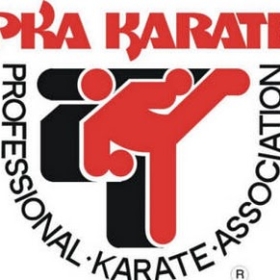 Professional Karate Association Logo
